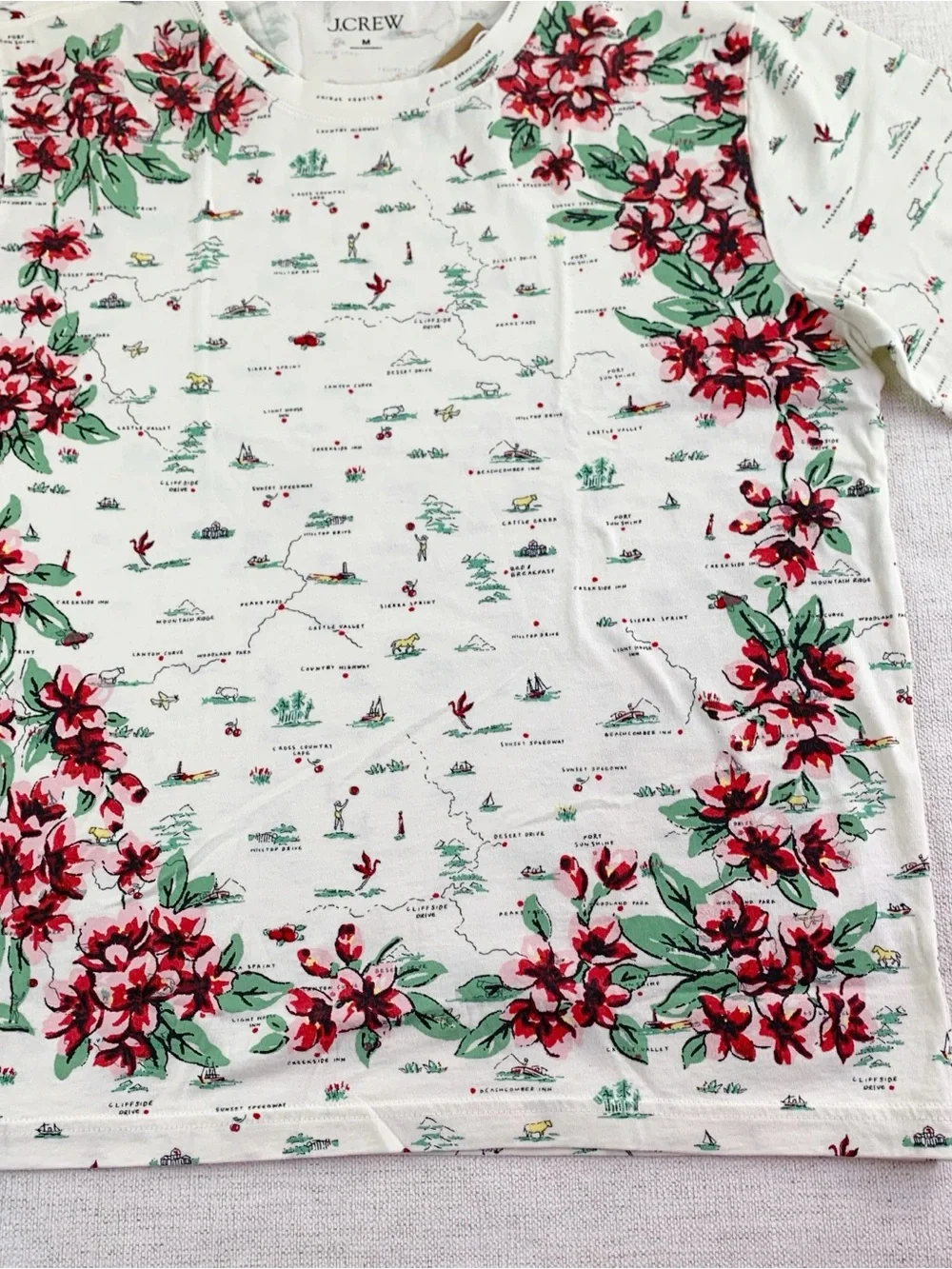J Crew New Broken-in jersey relaxed-fit map graphic T-shirt short sleeve floral